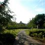 Coleridge Square Gardens