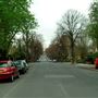 Kidbrooke Grove
