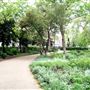 Russell Square