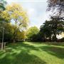 Blenheim & Elgin Communal Gardens