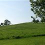 Primrose Hill