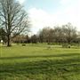Lewisham area