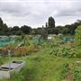 Birchen Grove Allotments