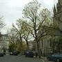 Lansdowne Crescent