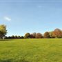 Hilly Fields