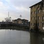 Barking Creek
