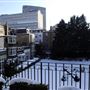 The Goring