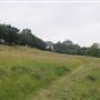 The Terrace Field