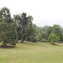 The Terrace Gardens
