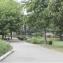 Potters Fields Park