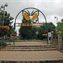 Burgess Park
