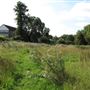 Pesthouse Common