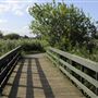 WWT London Wetland Centre