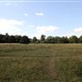 Barnes Common