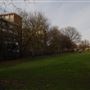 Weavers Fields