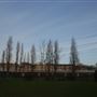 Allen Gardens
