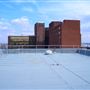 Views from Cumberland Road