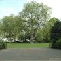 Lincoln's Inn Fields