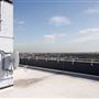 Albert Bigg Point - Olympic Park View