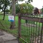 Long/Bell Meadow
