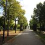 Dock Hill Avenue