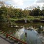 Lavender Pond Nature Park
