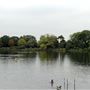 South Norwood Lake