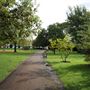 Waddon Ponds