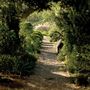 Chelsea Physic Garden