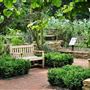 Chelsea Physic Garden
