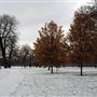 Kensington Gardens in the snow