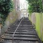 Warren Walk