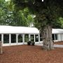 The Lensbury Resort