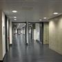 Heartlands High School