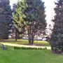 Churchill Gardens