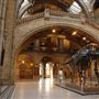 Natural History Museum