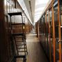 Natural History Museum