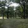 Richmond Park