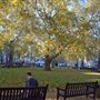 Berkeley Square