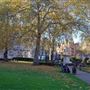 Cavendish Square