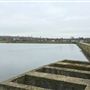 Brent Reservoir