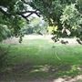 Edgwarebury Park