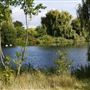 Mayesbrook Park