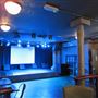 The Water Rats