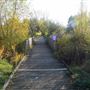 Sutcliffe Park