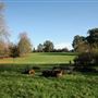 Friary Park