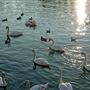 Kingston Riverside