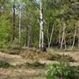 Addington Hills Viewing Platform
