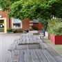 Wimbledon Park Primary School