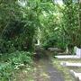 St Pancras and Islington Cemetery